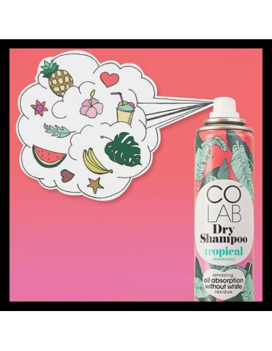 COLAB - SHAMPOING SEC "TROPICAL" - tunisie