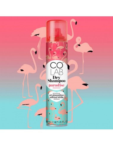 COLAB - SHAMPOING SEC "PARADISE" - tunisie