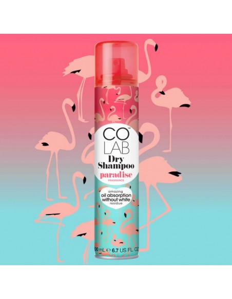 COLAB - SHAMPOING SEC "PARADISE" - tunisie