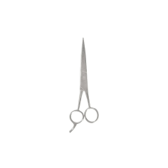 TITANIA CISEAUX DE COIFFEUR INOX 1050/31 - tunisie