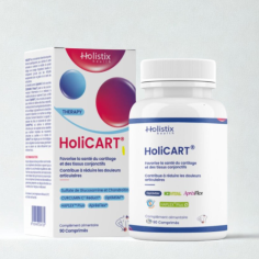 HOLISTIX HOLICART COMPRIMES BT/90 - tunisie