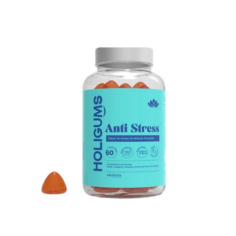HOLISTIX HOLIGUMS ANTI-STRESS GUM - tunisie